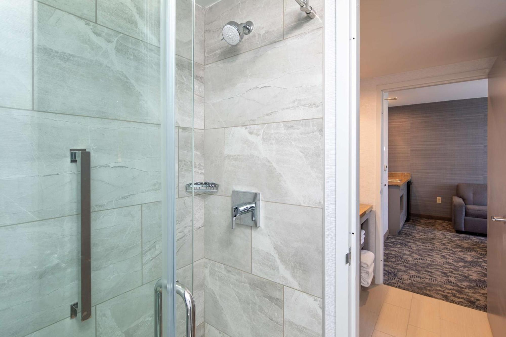 Premium King Suite Non-Smoking
